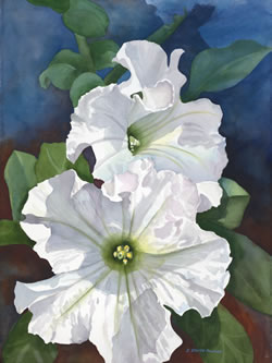 Petunias